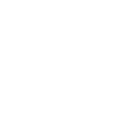 tooth
